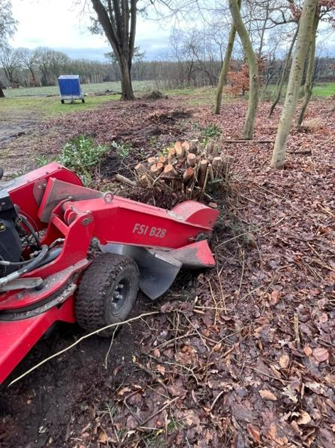 Corvin Stief – Garten- und Baumpflege, land- und forstwirtschaftliche Dienstleistungen - Wurzelfräsen