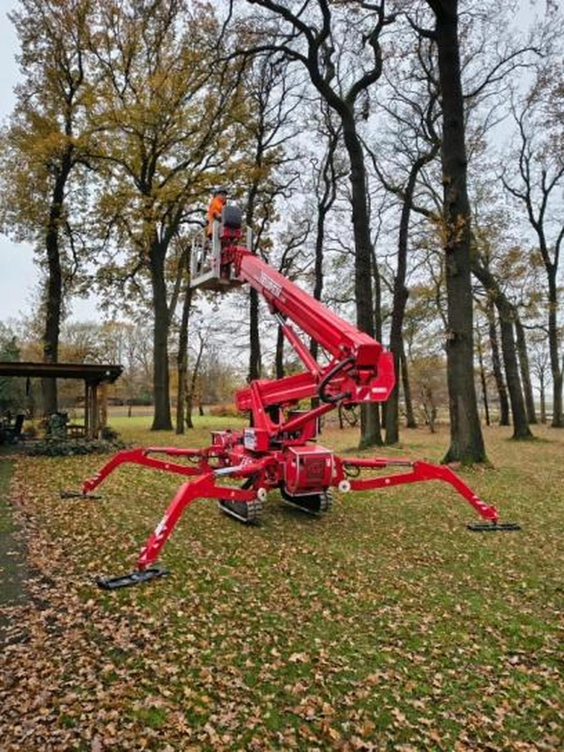 Corvin Stief – Garten- und Baumpflege, land- und forstwirtschaftliche Dienstleistungen - Baumfällung