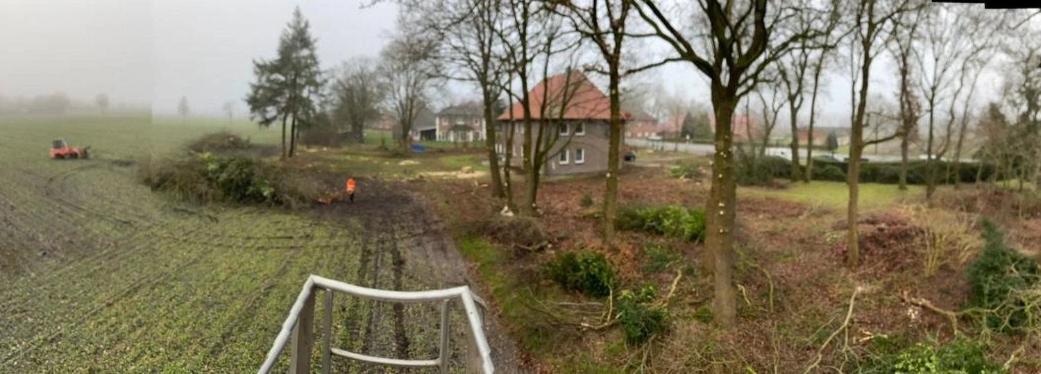 Corvin Stief – Garten- und Baumpflege, land- und forstwirtschaftliche Dienstleistungen - Baumfällung