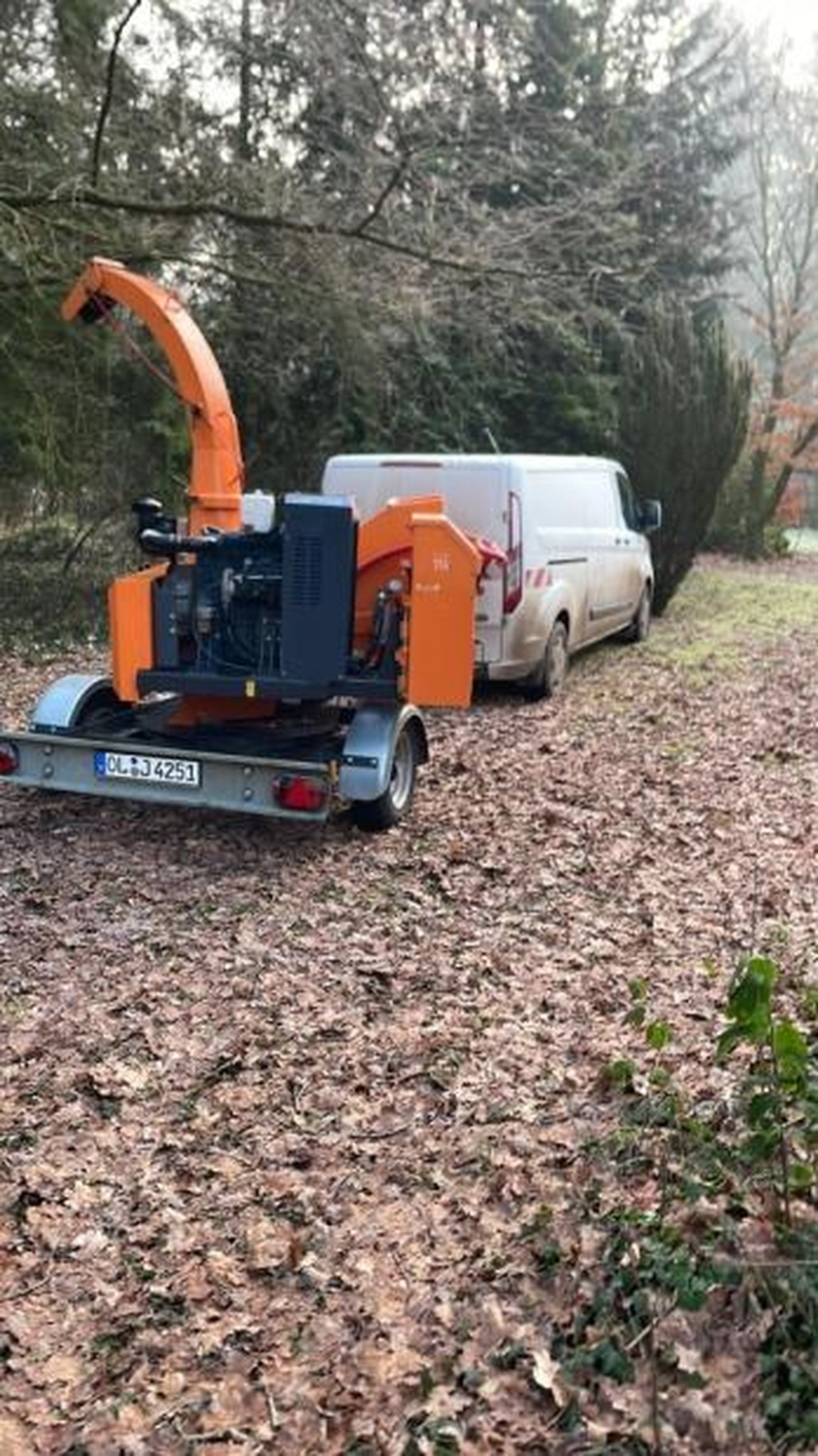 Corvin Stief – Garten- und Baumpflege, land- und forstwirtschaftliche Dienstleistungen
