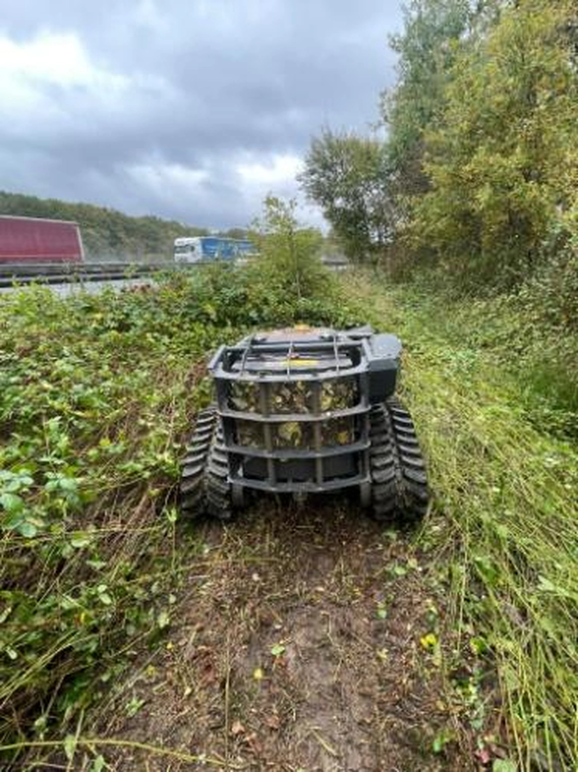 Corvin Stief – Garten- und Baumpflege, land- und forstwirtschaftliche Dienstleistungen - Grünpflegearbeiten
