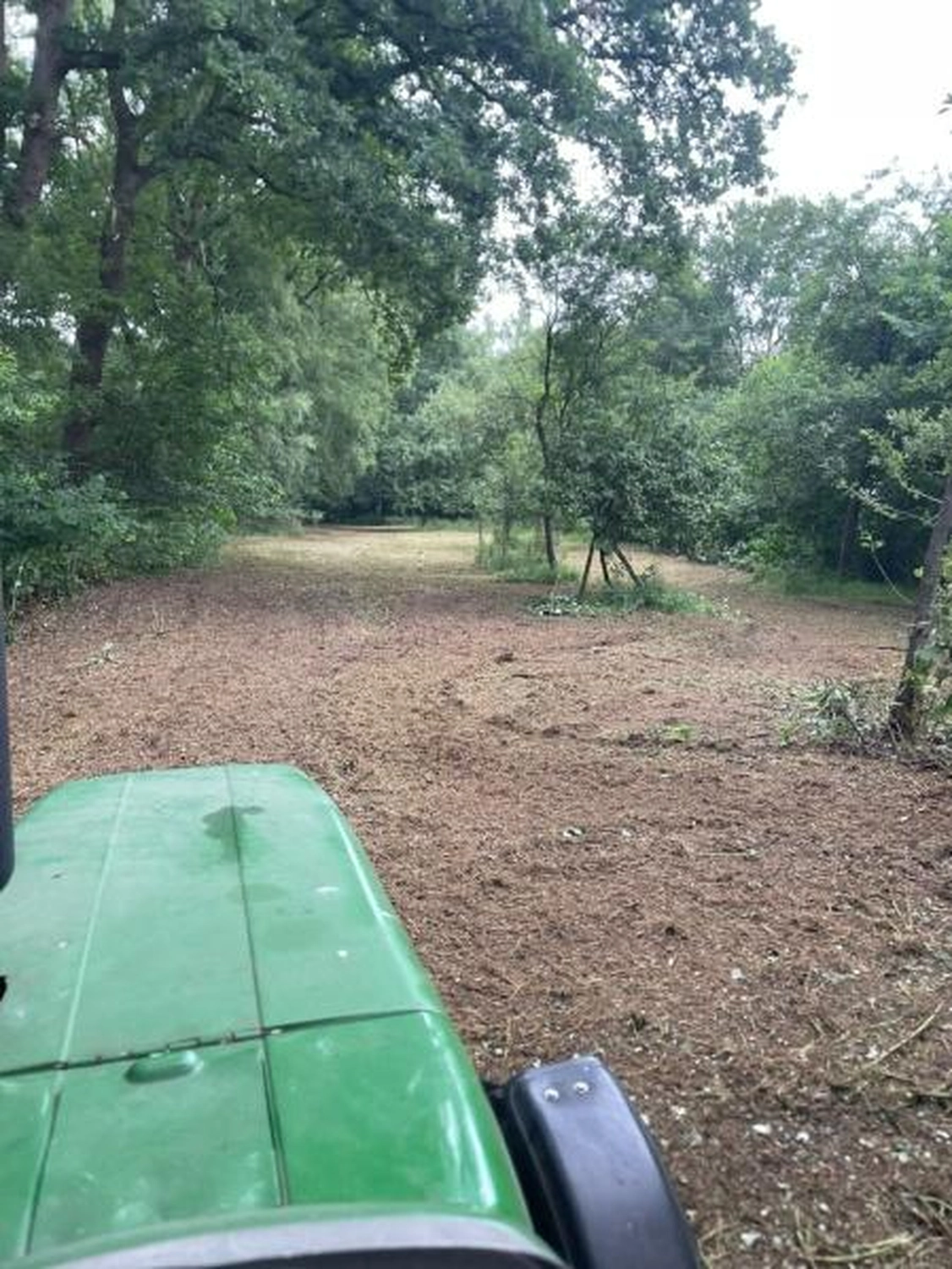 Corvin Stief – Garten- und Baumpflege, land- und forstwirtschaftliche Dienstleistungen - Grünpflegearbeiten