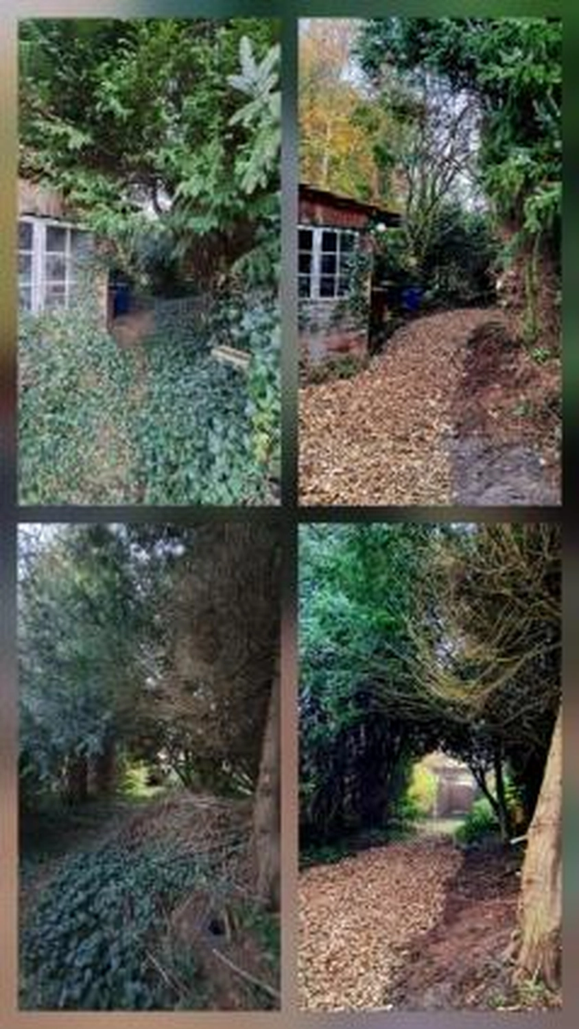 Corvin Stief – Garten- und Baumpflege, land- und forstwirtschaftliche Dienstleistungen - Allgemeine Gartenarbeiten vorher und nachher
