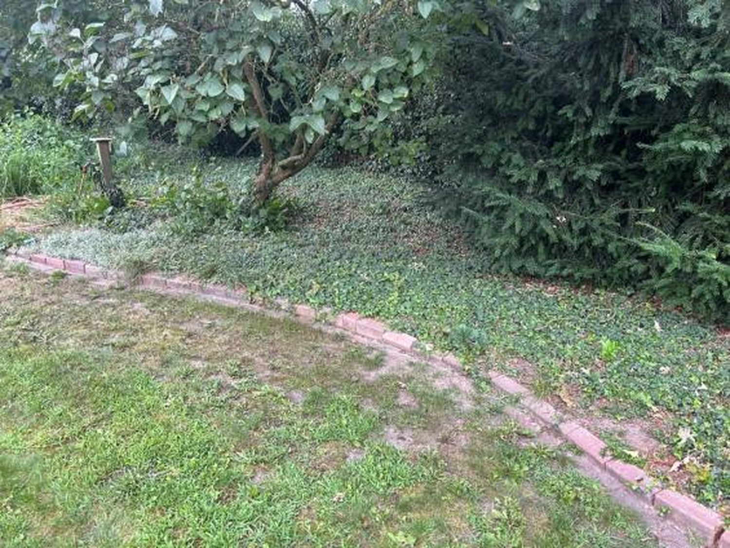 Corvin Stief – Garten- und Baumpflege, land- und forstwirtschaftliche Dienstleistungen - Allgemeine Gartenarbeiten