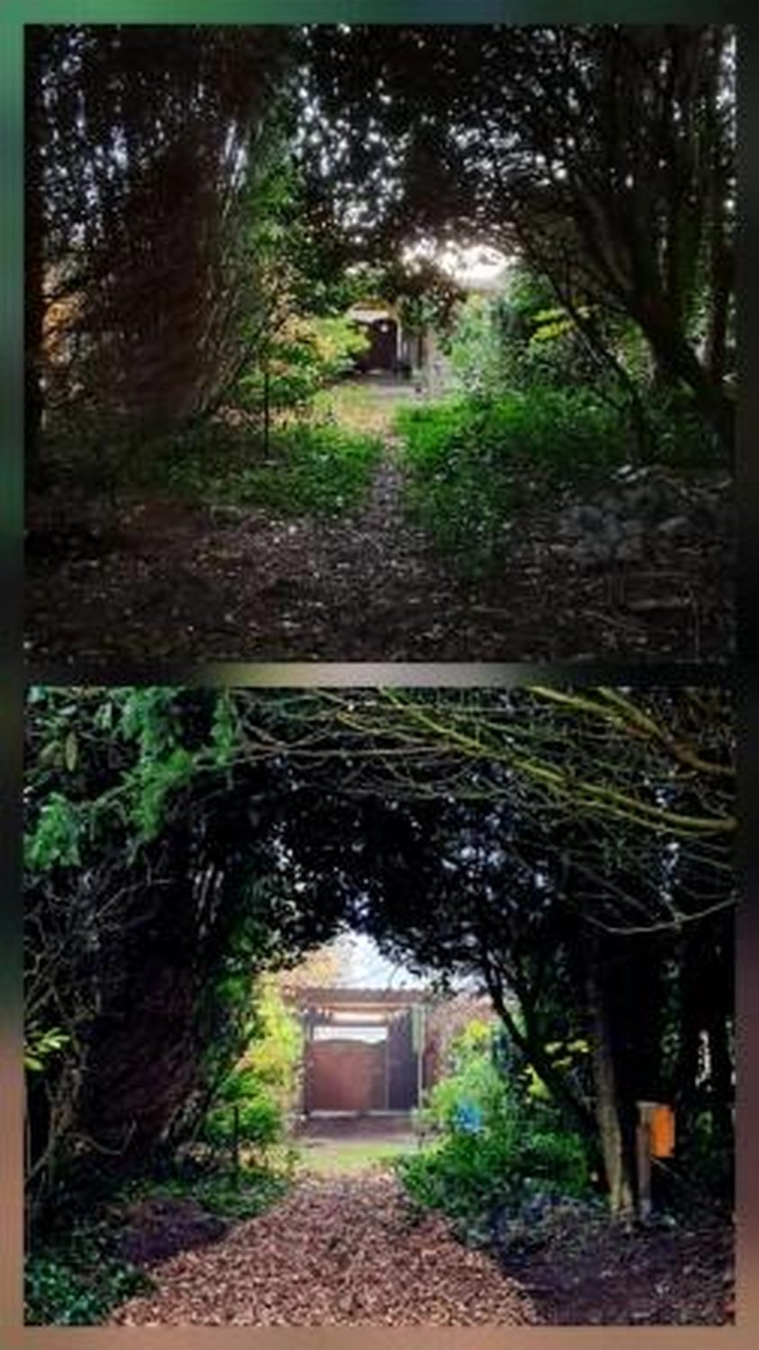 Corvin Stief – Garten- und Baumpflege, land- und forstwirtschaftliche Dienstleistungen - Allgemeine Gartenarbeiten vorher und nachher